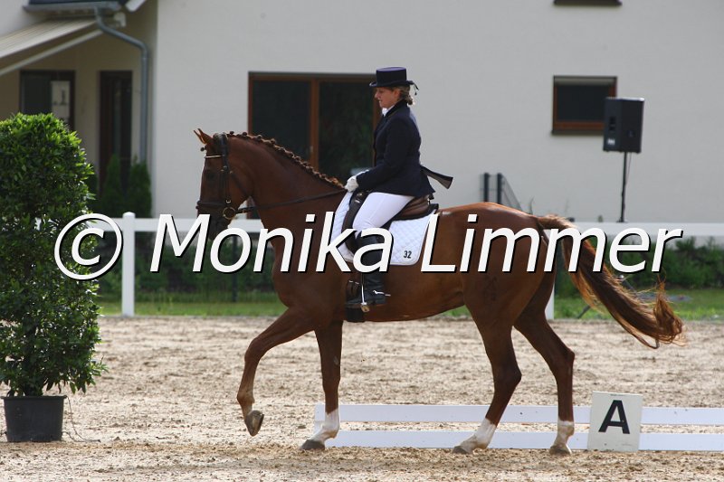 006M3373_Dressur L.JPG